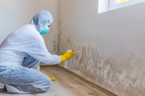 Mold Remediation specialist working in Youngsville